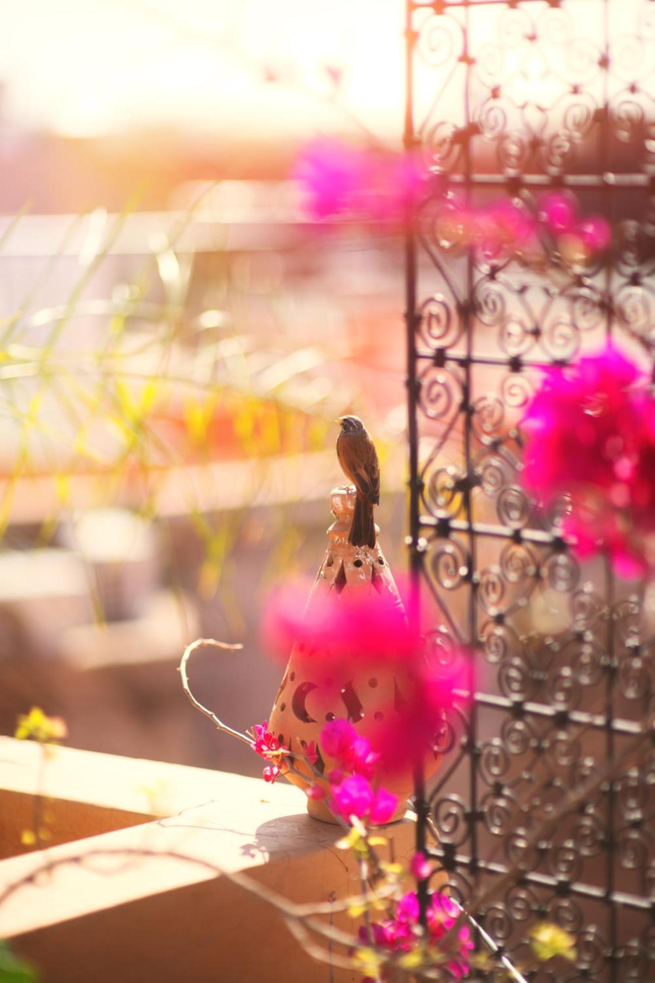 Riad Persephone Marakeş Dış mekan fotoğraf